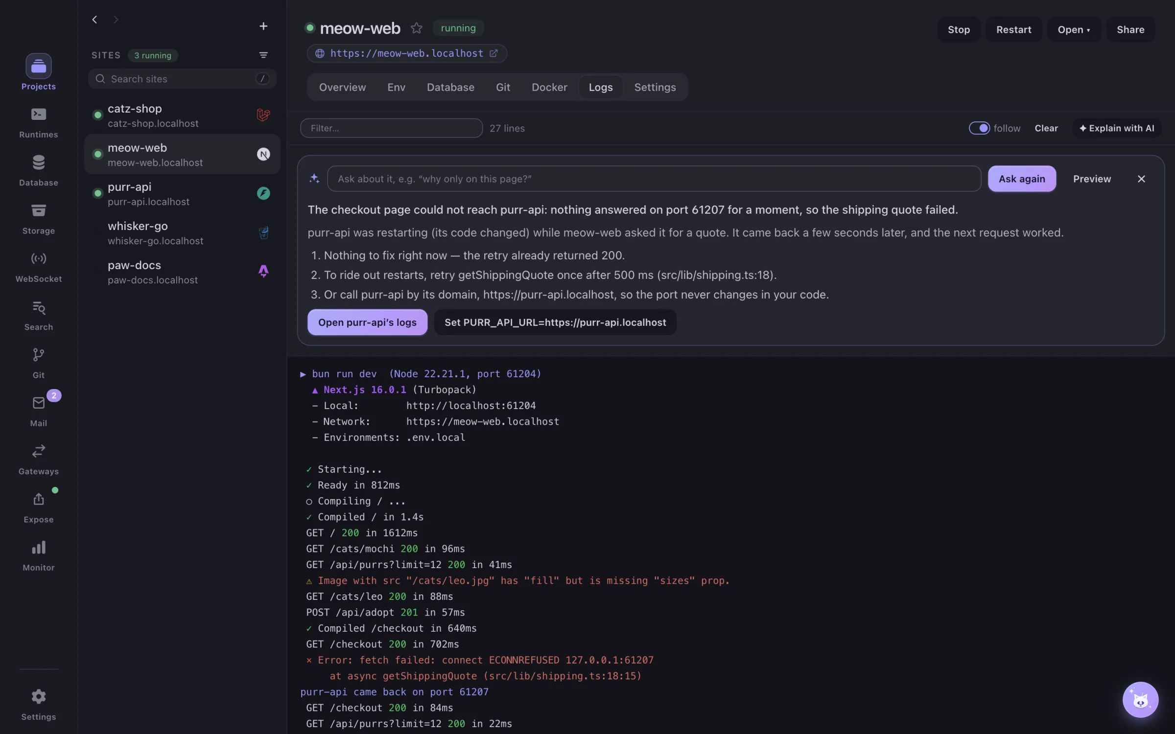 DevCatz explaining an error in a site’s logs with AI