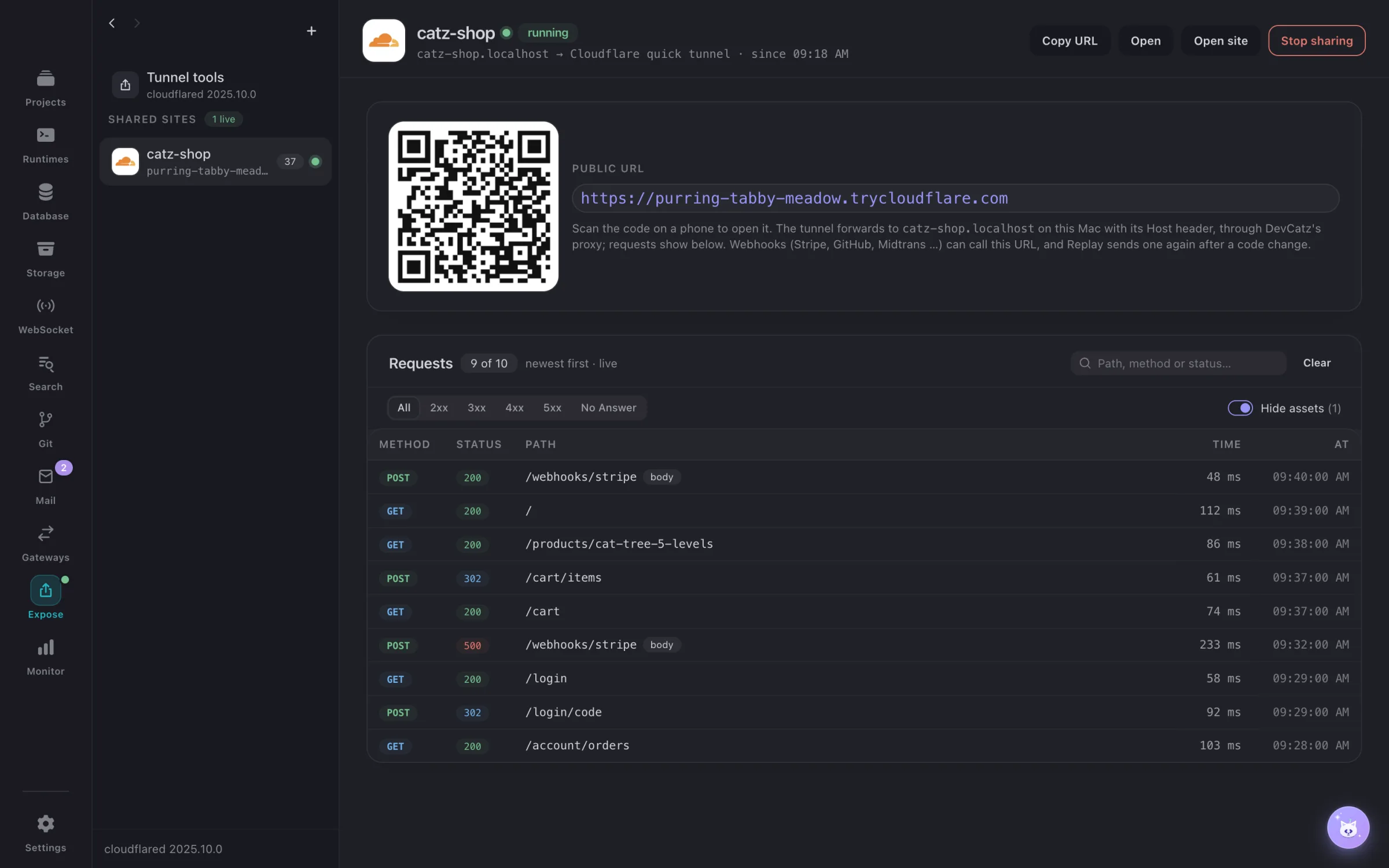 A site shared on a public URL with its live requests