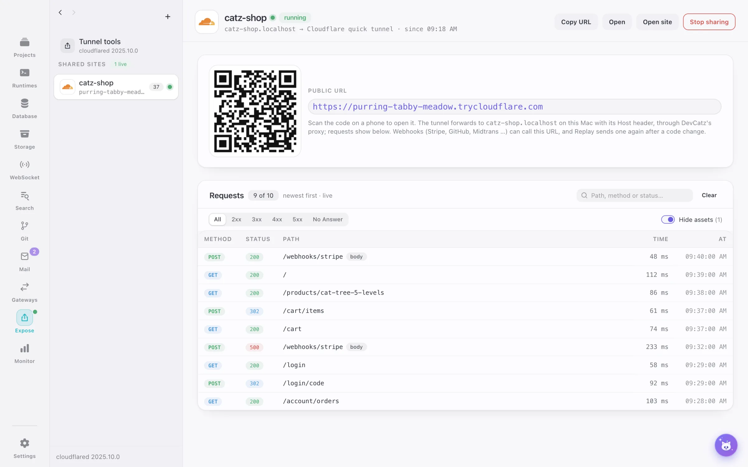 A site shared on a public URL with its live requests