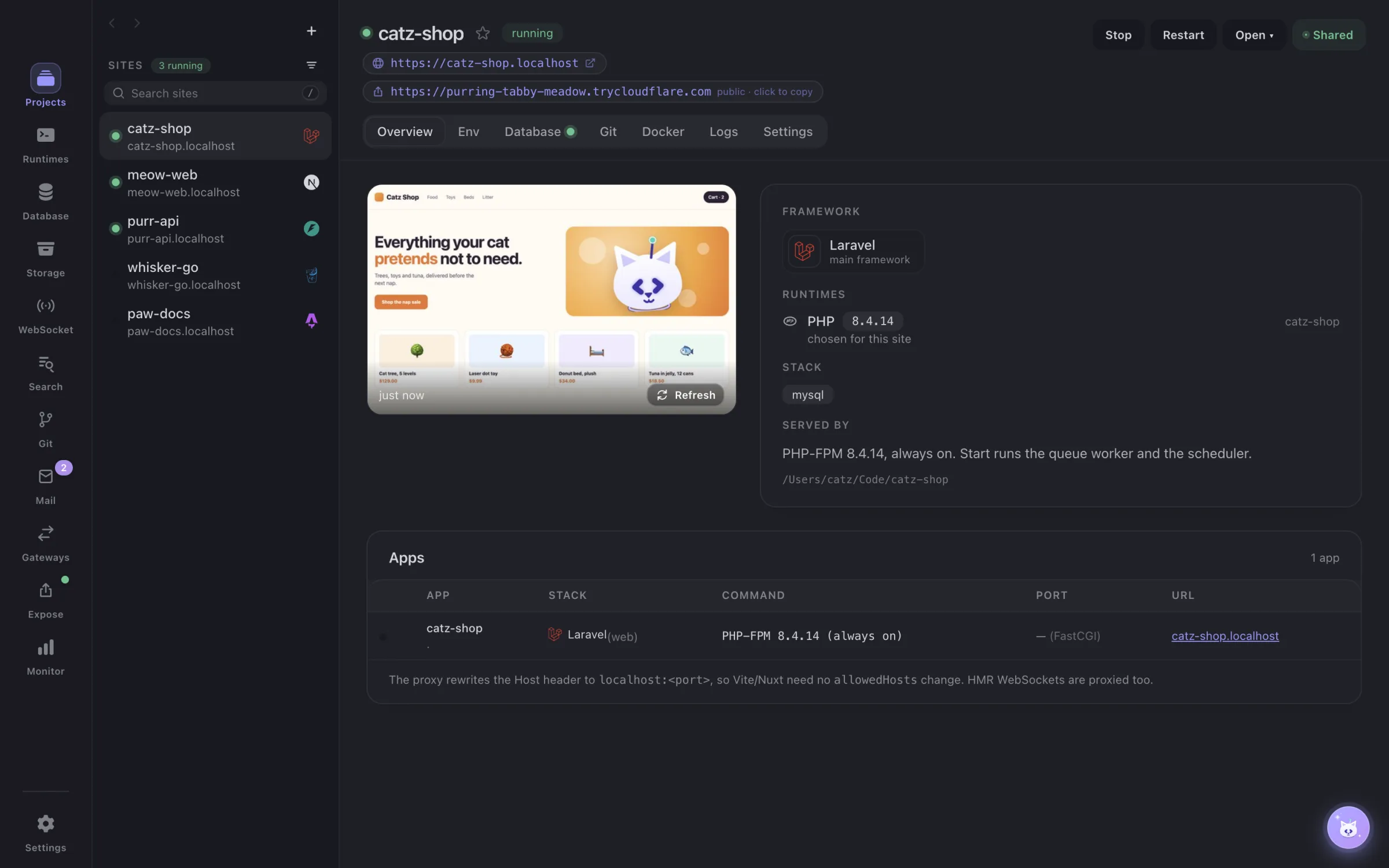 A Laravel site running in DevCatz, shared on a public URL