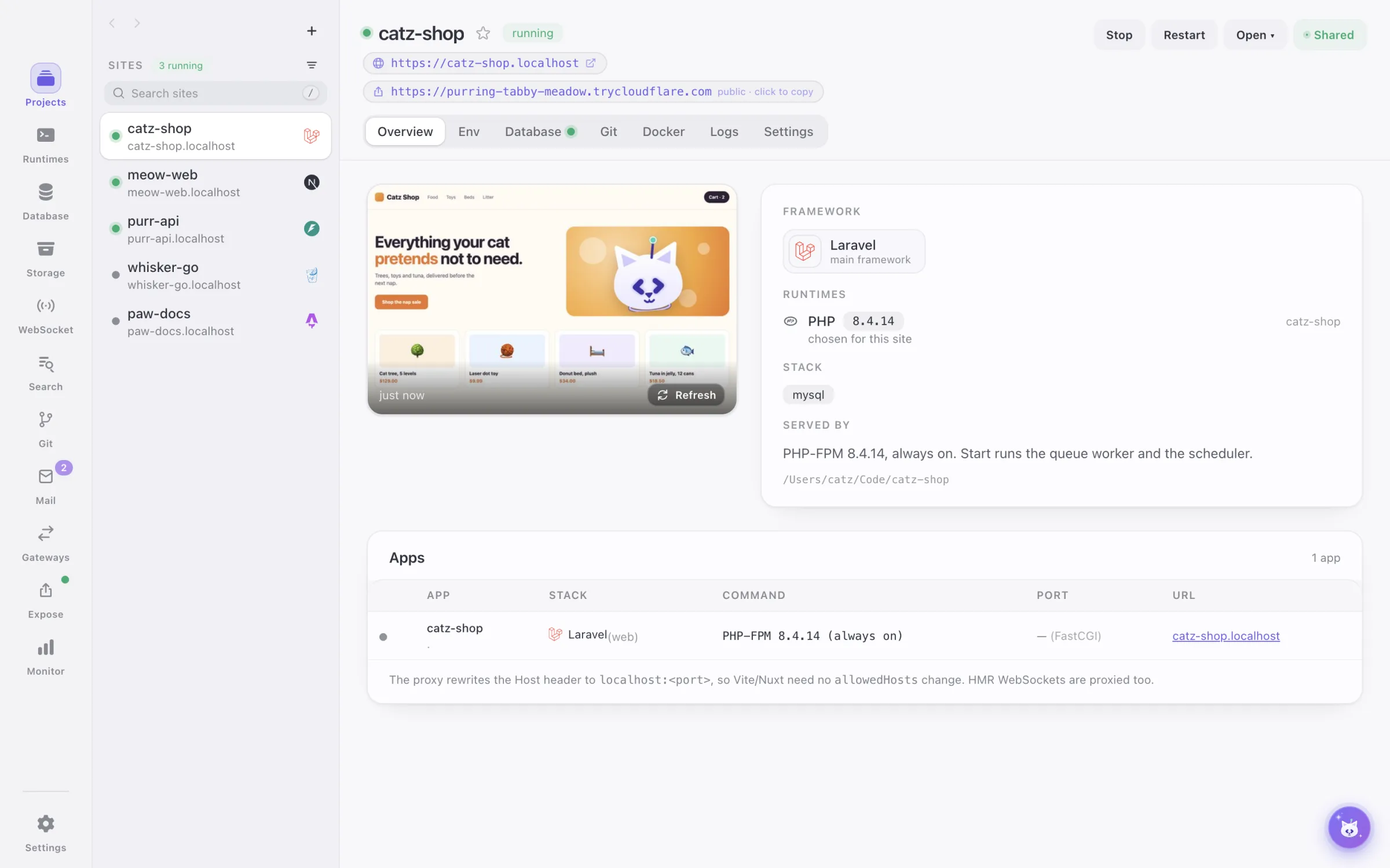 A Laravel site running in DevCatz, shared on a public URL